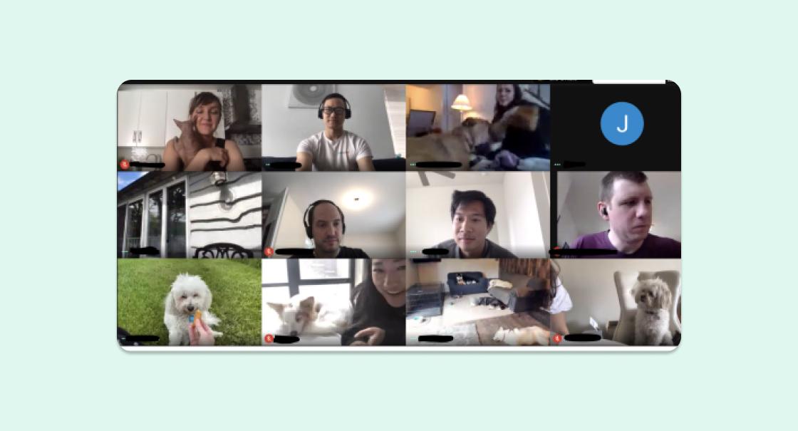 A grid of participants in a video call, some with pets, showing a mix of indoor settings and casual attire. Various expressions and activities are visible among the attendees.