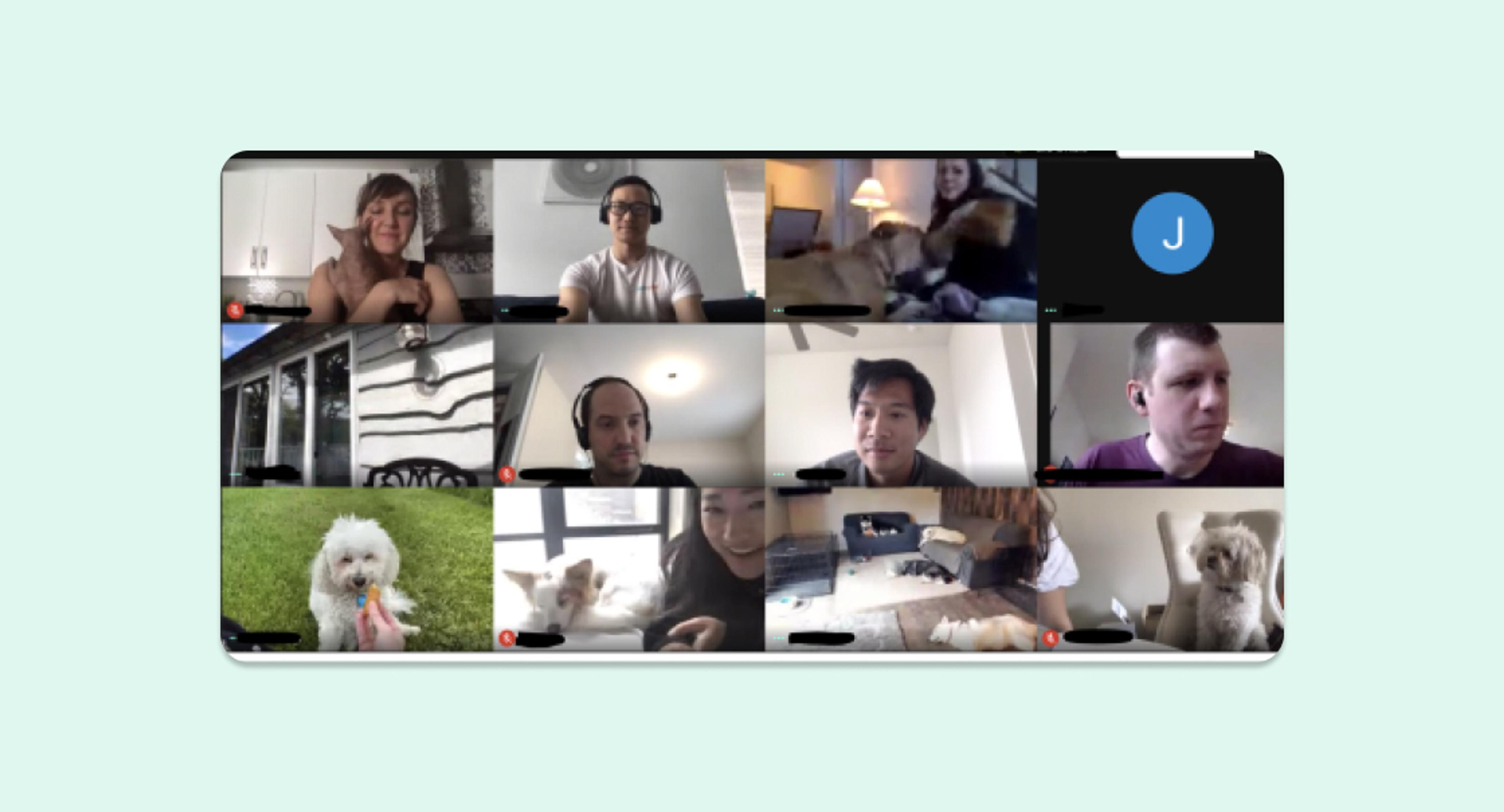 A grid of participants in a video call, some with pets, showing a mix of indoor settings and casual attire. Various expressions and activities are visible among the attendees.