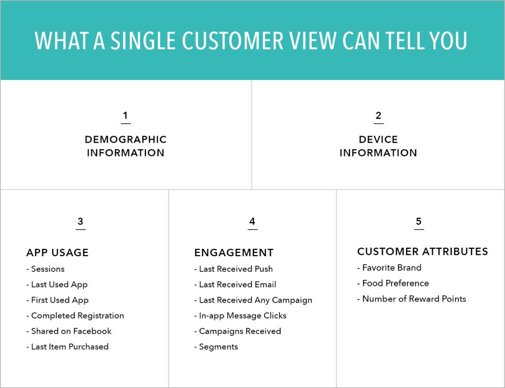 A chart outlining what a single customer view can reveal, including demographic information, device information, app usage, engagement metrics, and customer attributes. Each section lists specific data points related to customer insights.