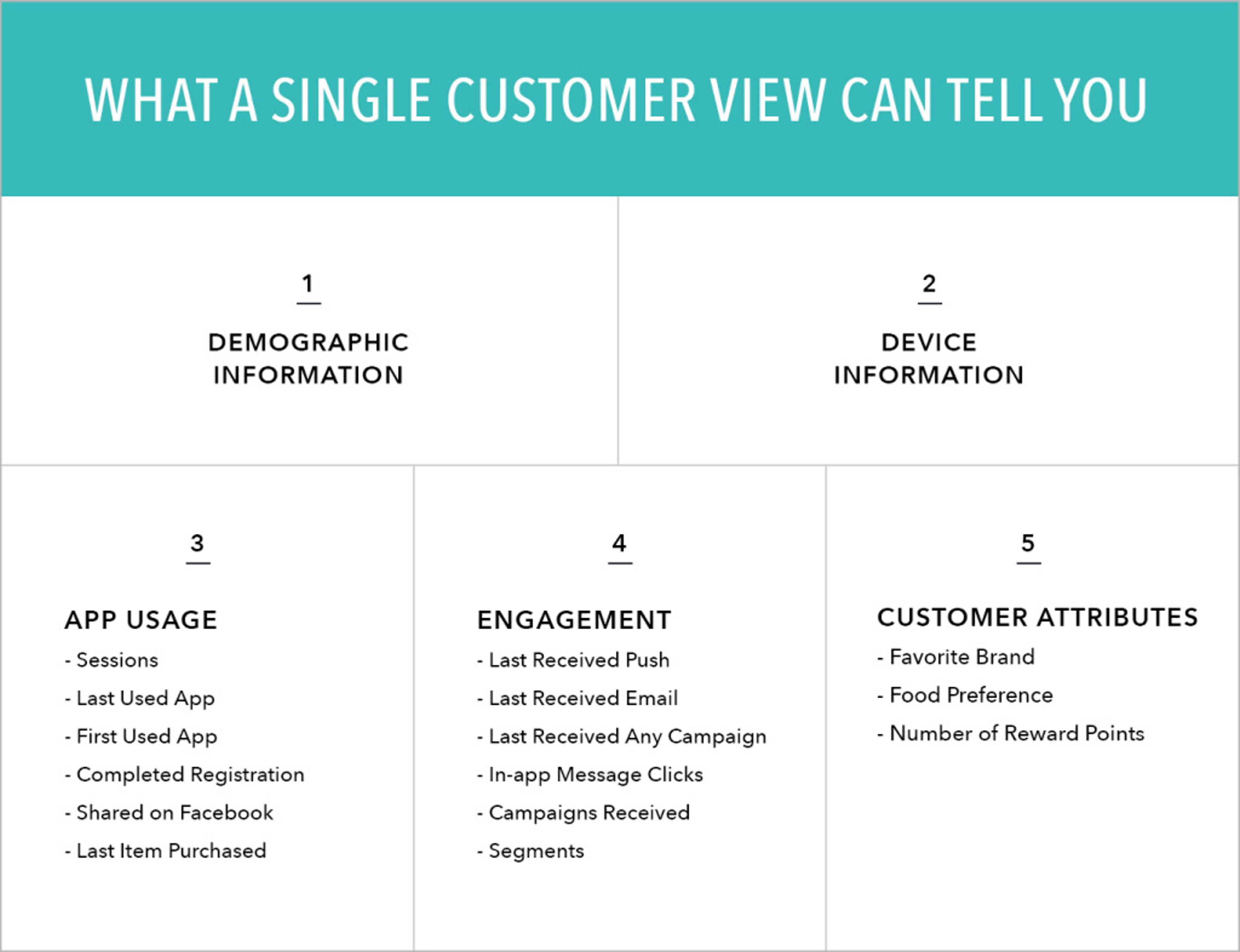 A chart outlining what a single customer view can reveal, including demographic information, device information, app usage, engagement metrics, and customer attributes. Each section lists specific data points related to customer insights.