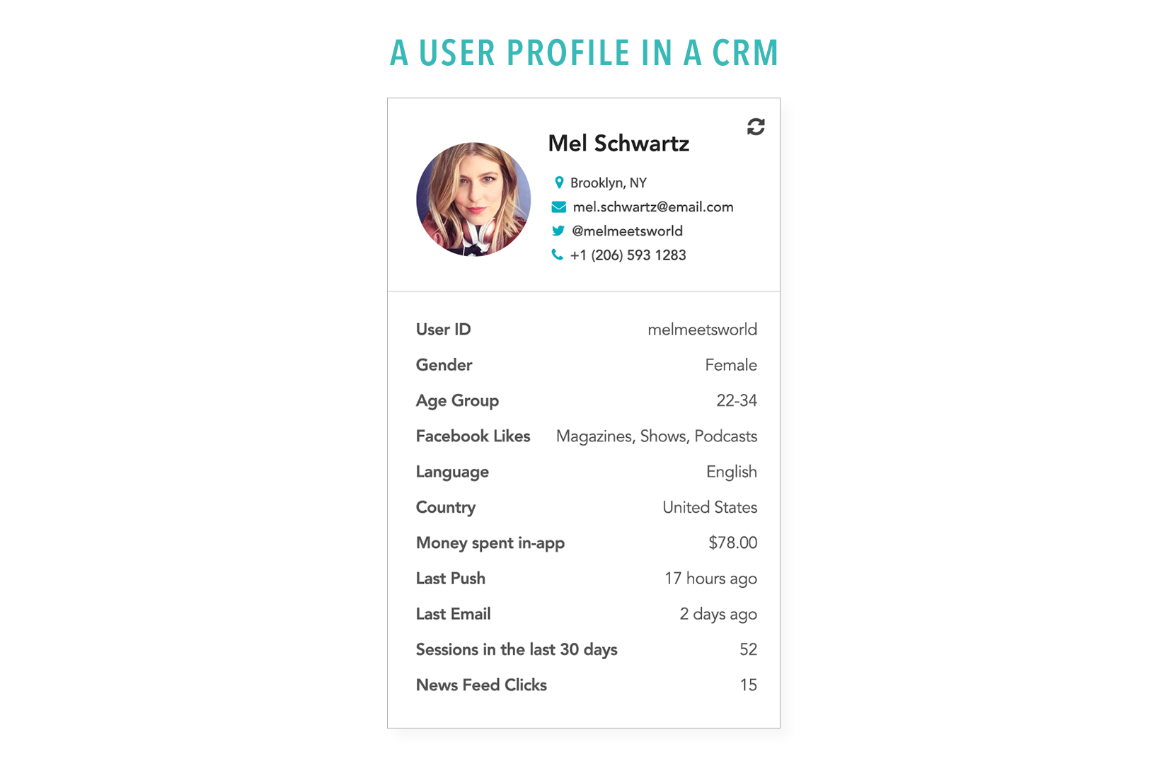 A user profile in a CRM system displaying information about Mel Schwartz, including contact details, demographics, and activity statistics.