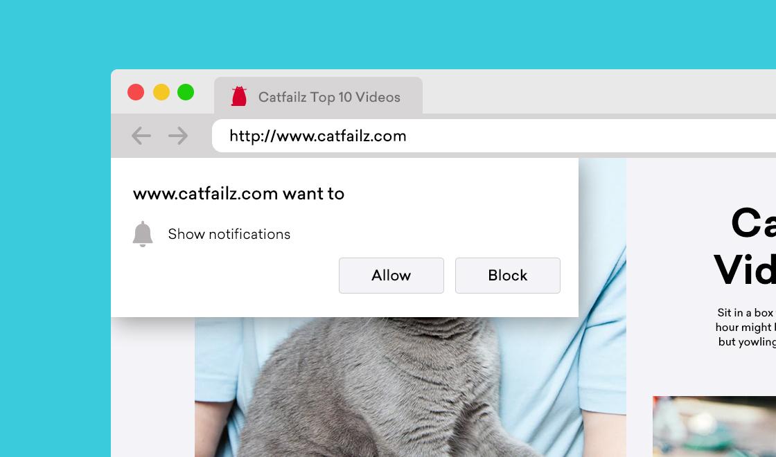 A web browser window displaying a notification request from the website catfailz.com, with options to allow or block notifications. A person is holding a cat in the background.