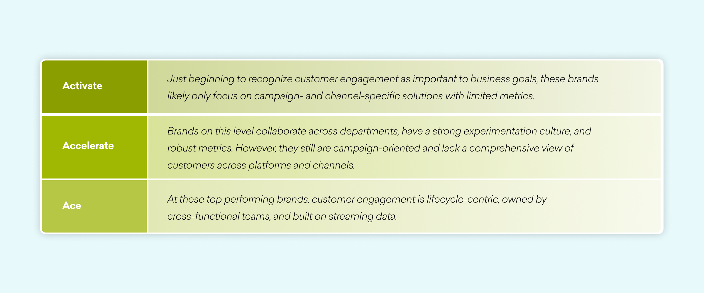 A table outlining three levels of customer engagement: Activate, Accelerate, and Ace, with descriptions of each level's characteristics and approaches.