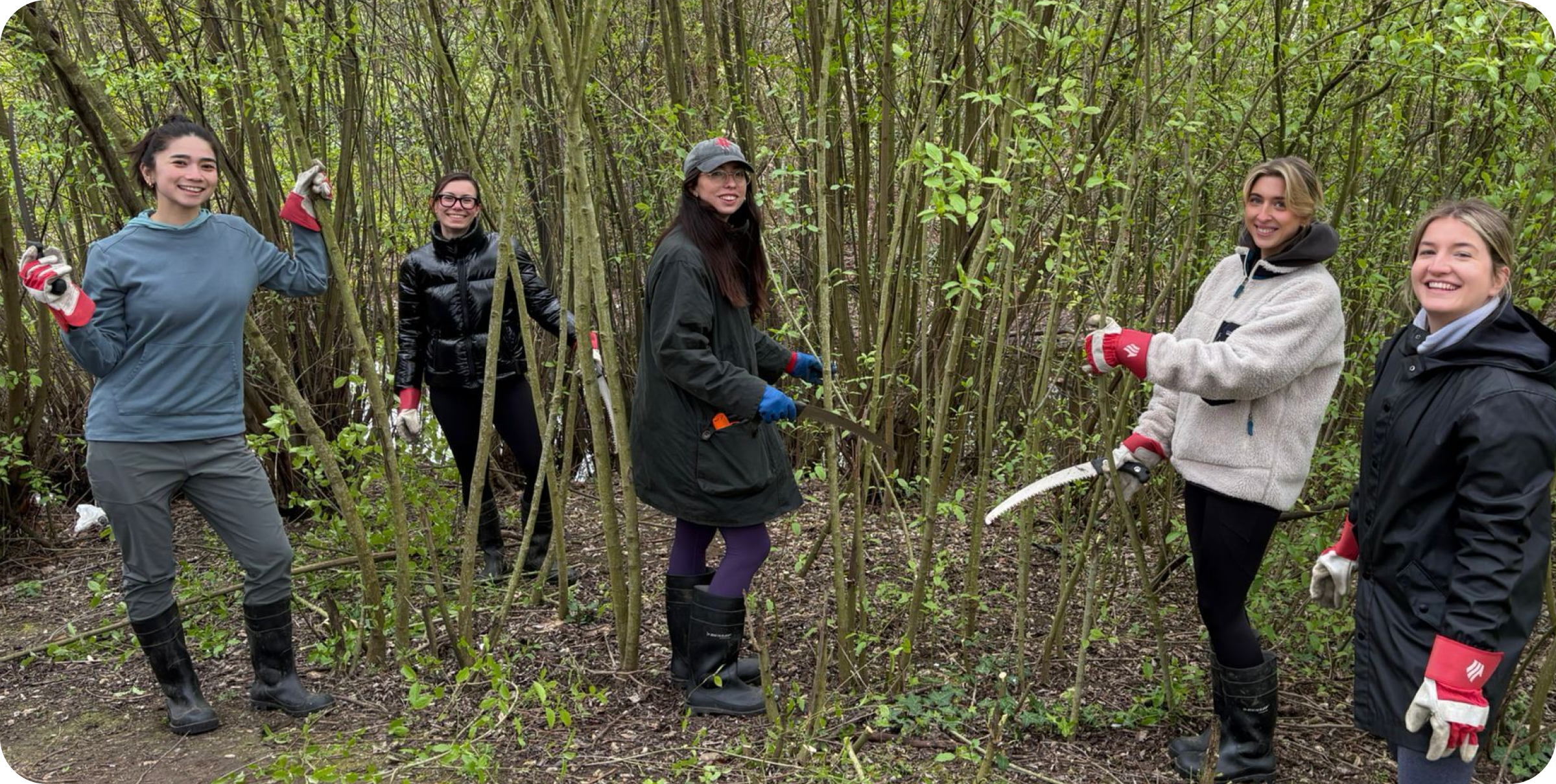 Volunteers