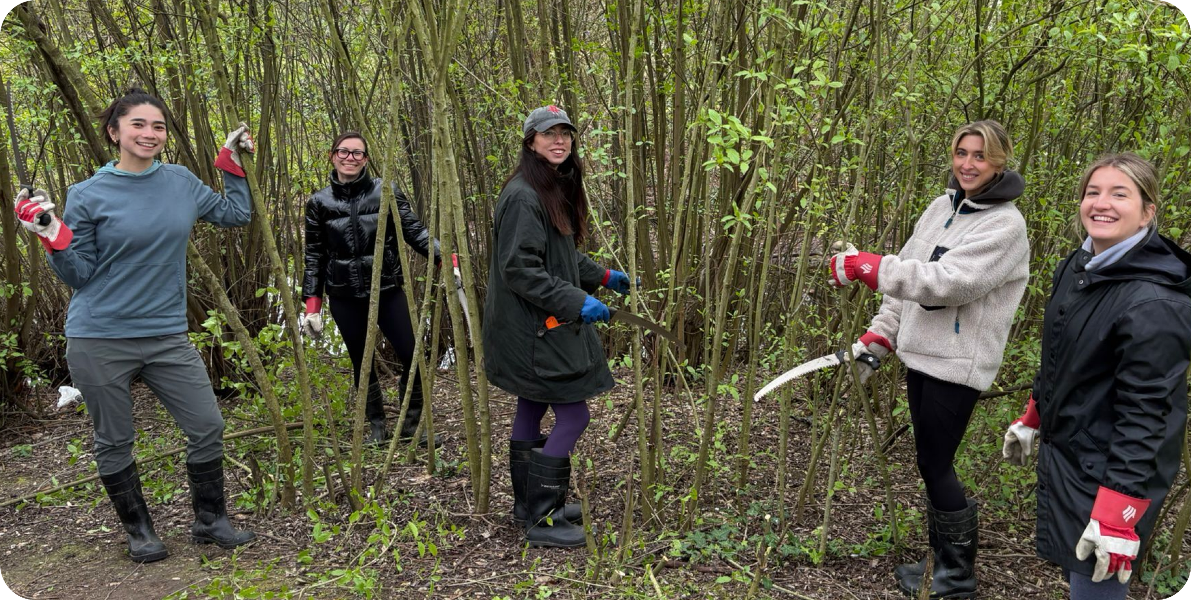 Volunteers