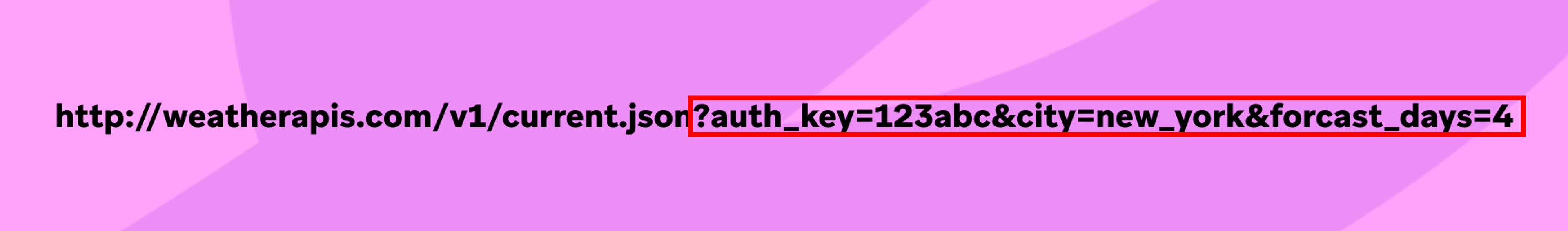 URL showing the query string component