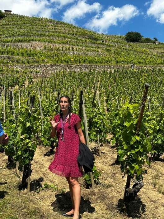 A guide in the Guigal Côte-Rôtie vineyard