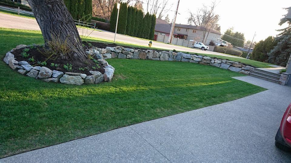 grass