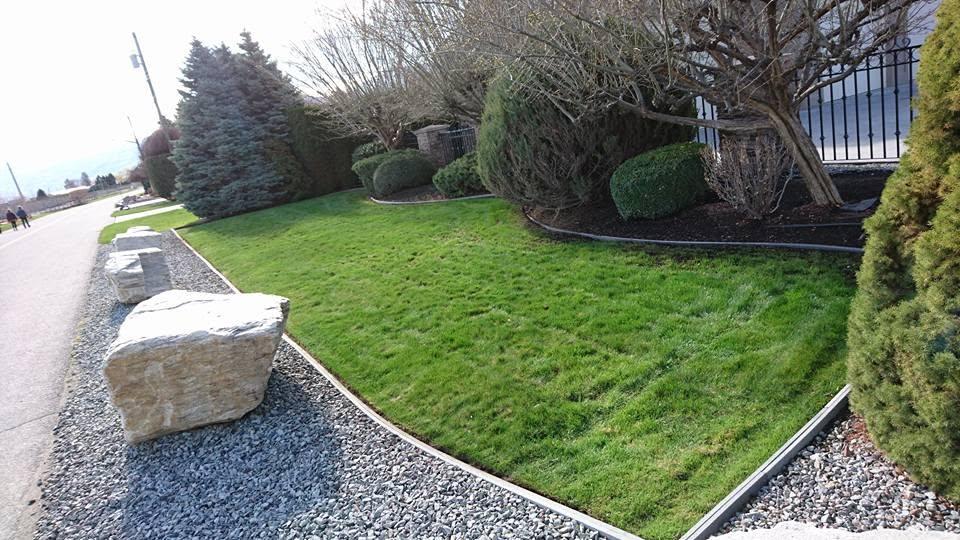 grass