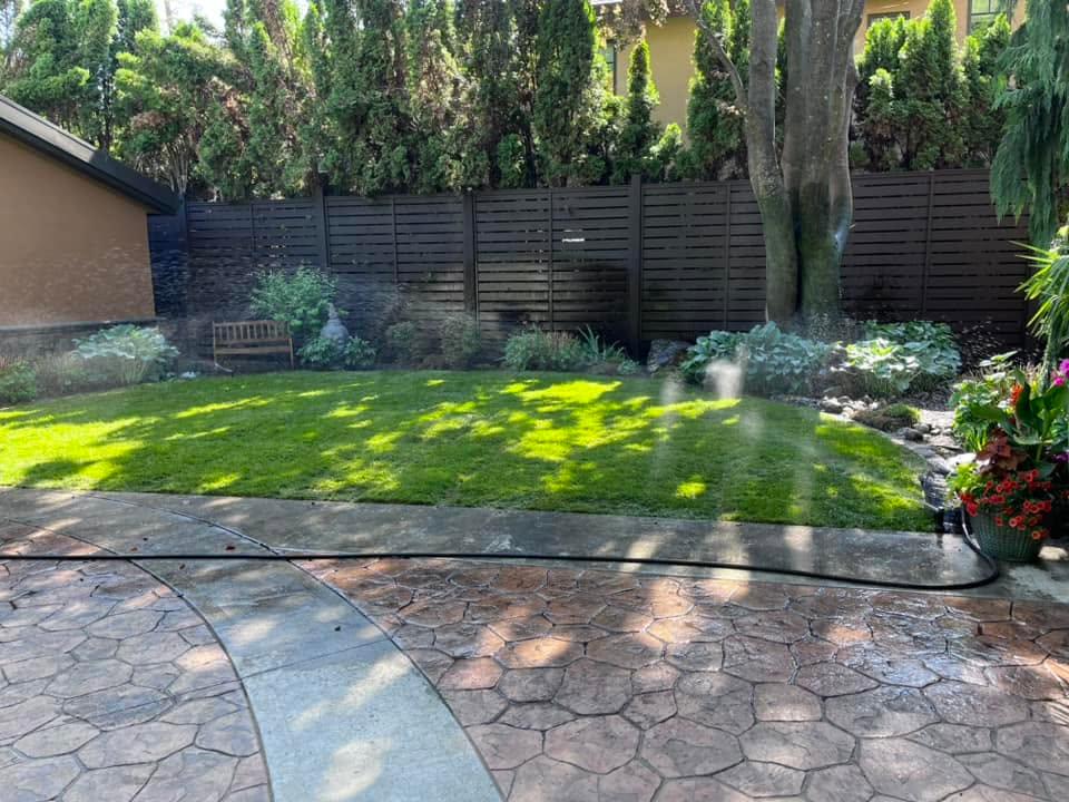 grass