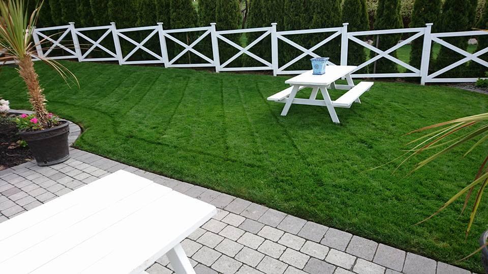 grass