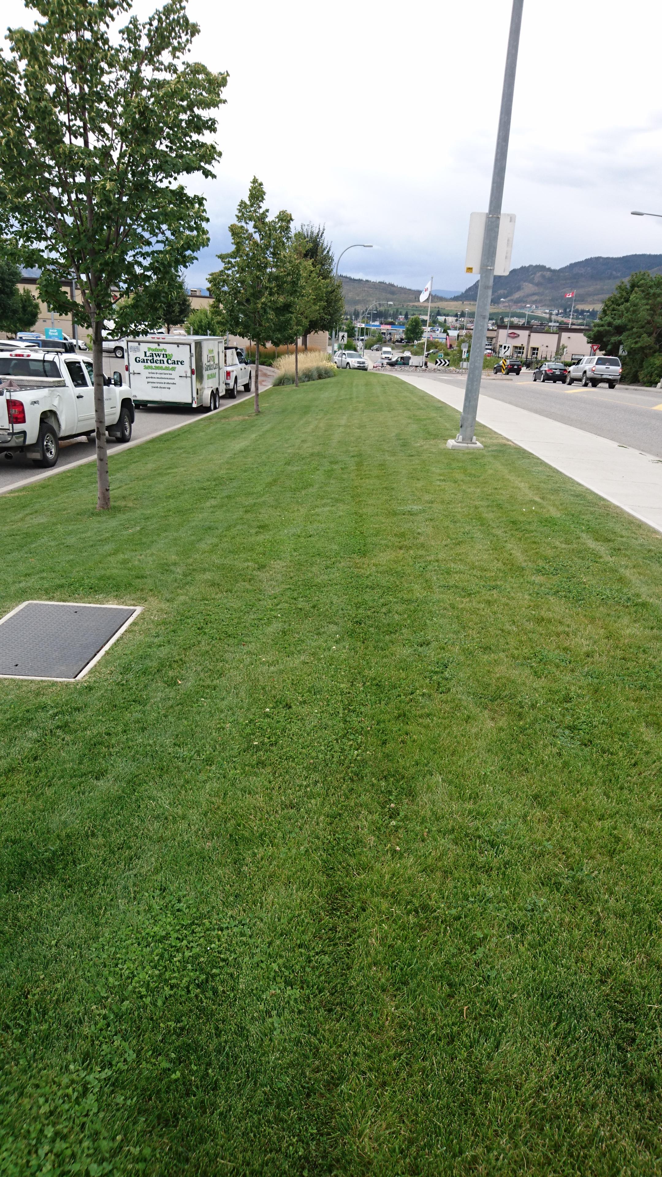 Lawn