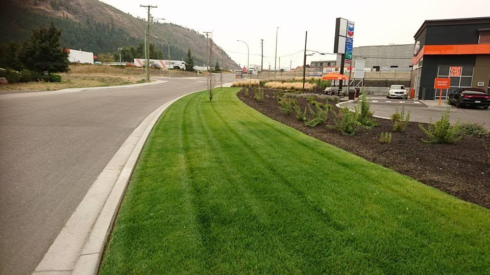 grass