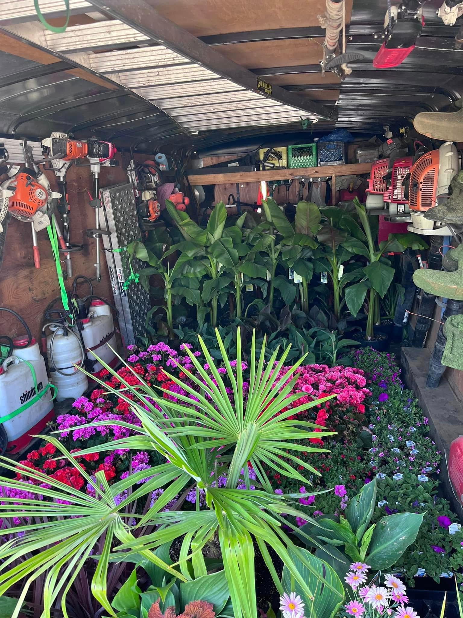 flowers