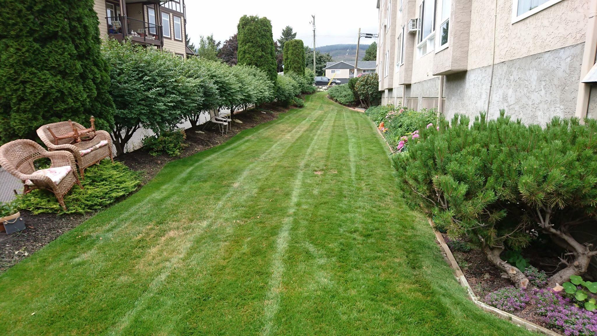 grass