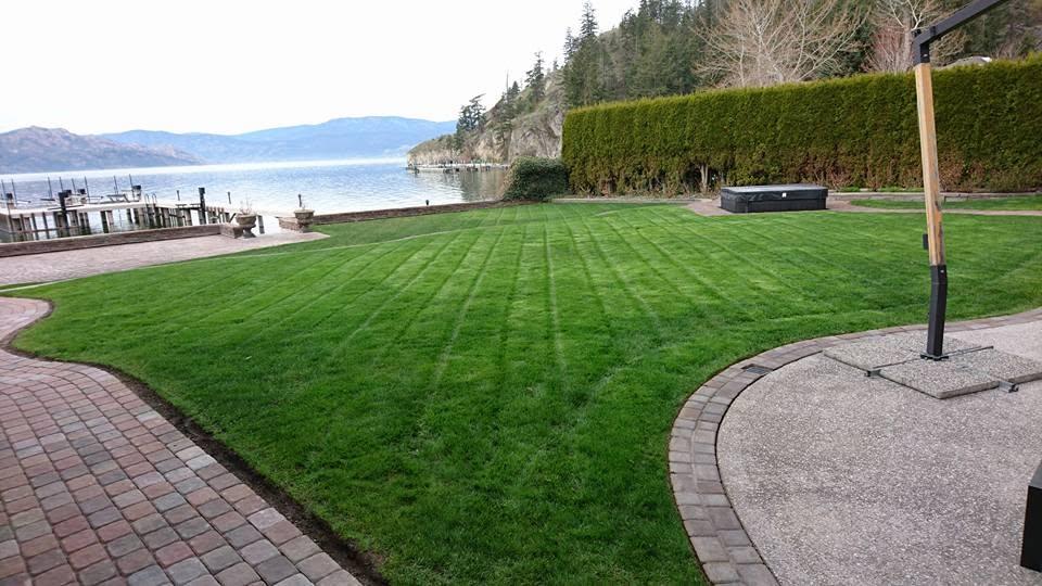 grass