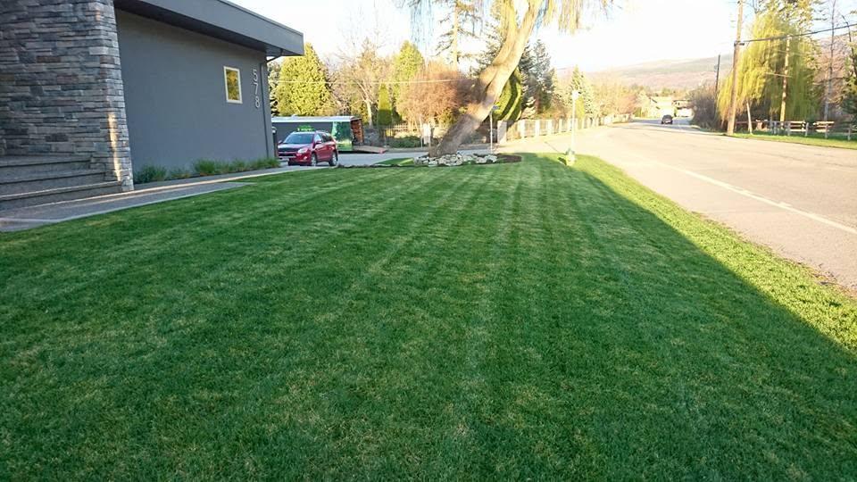 grass