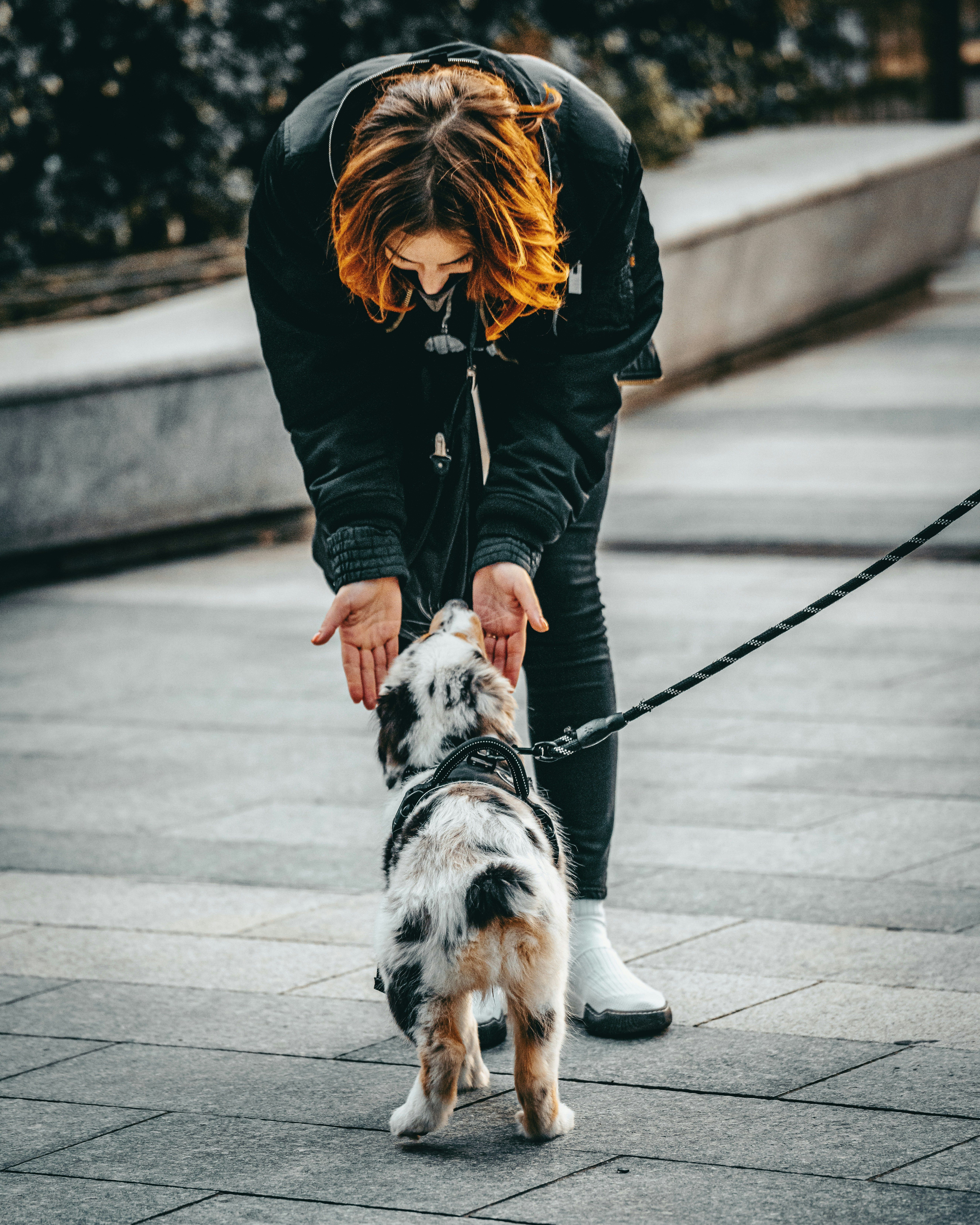 woman with dog