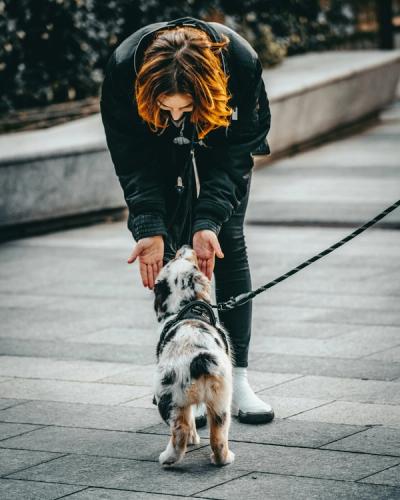 woman with dog