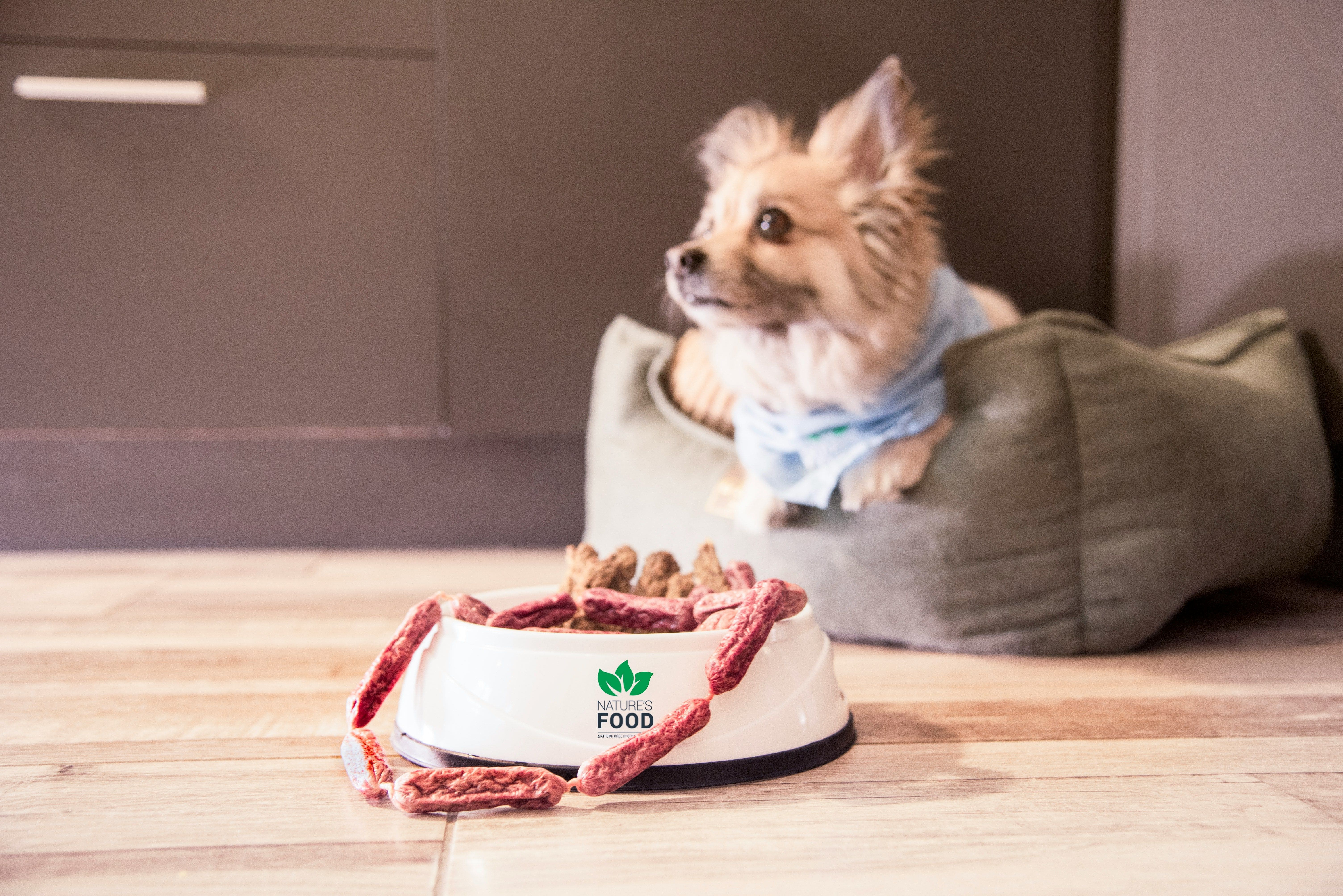Raw Dog Food Market Hit $4.38 Billion. Freeze-Dried Format Dominates Growth
