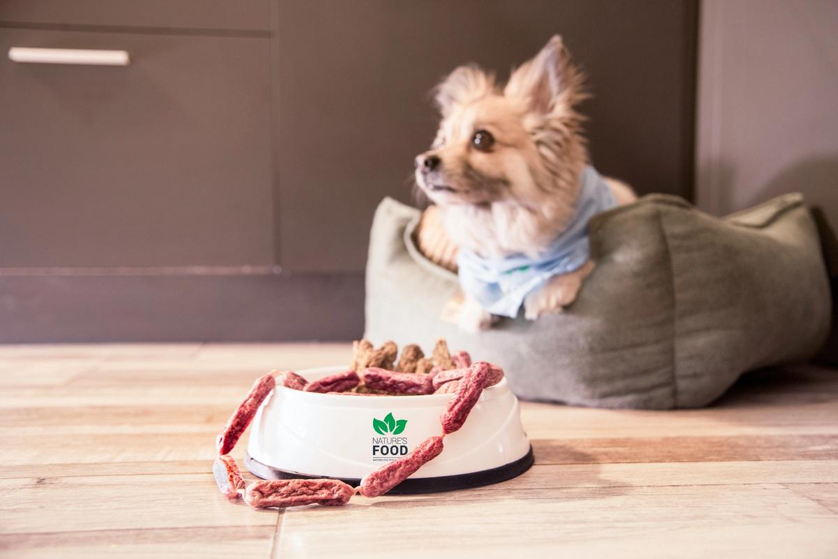 Raw Dog Food Market Hit $4.38 Billion. Freeze-Dried Format Dominates Growth