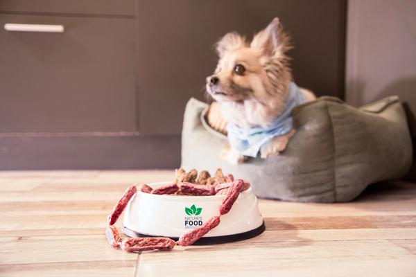 Raw Dog Food Market Hit $4.38 Billion. Freeze-Dried Format Dominates Growth