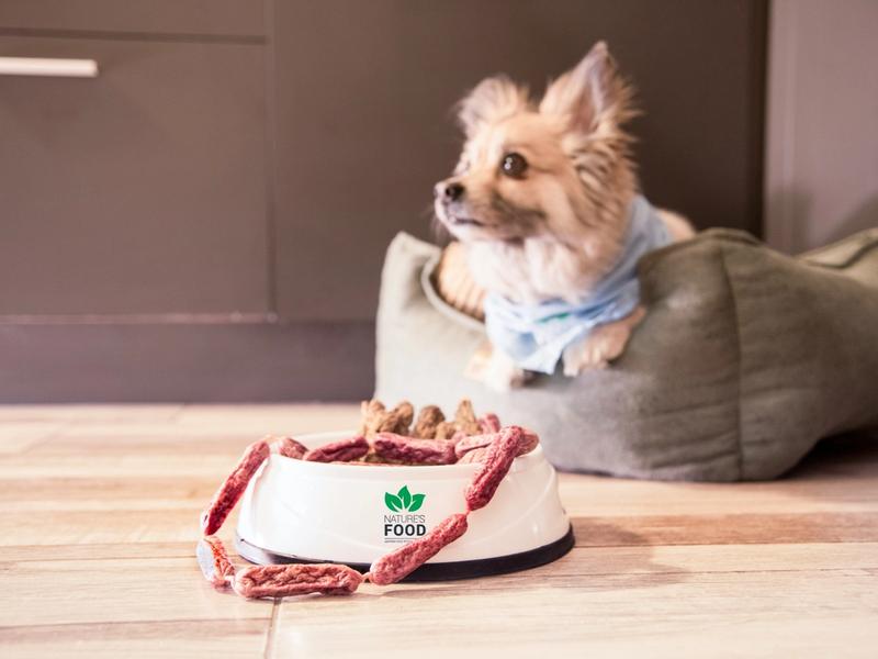 Raw Dog Food Market Hit $4.38 Billion. Freeze-Dried Format Dominates Growth