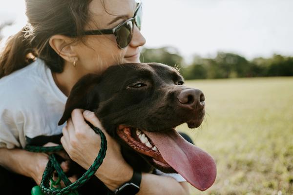 Small Dogs Hit Record Adoption Rates. But the #1 Mistake Is Thinking Size Solves Everything
