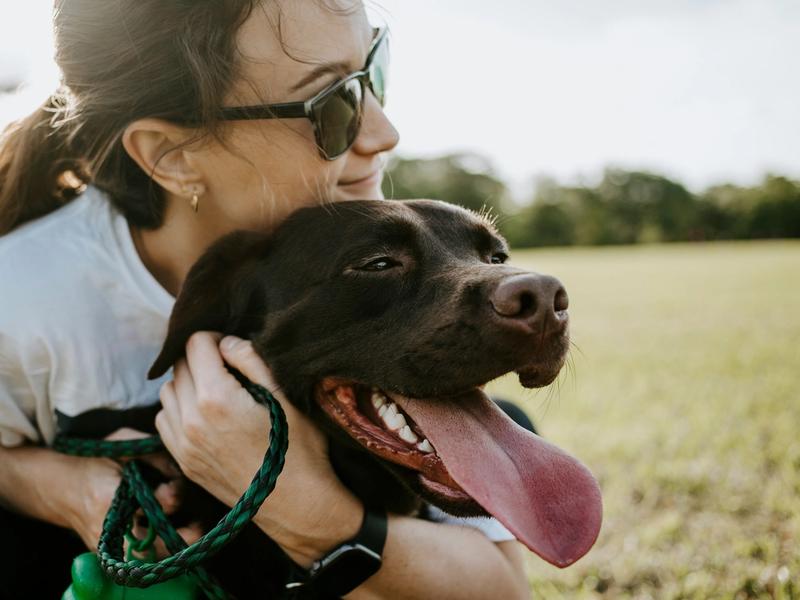 Small Dogs Hit Record Adoption Rates. But the #1 Mistake Is Thinking Size Solves Everything