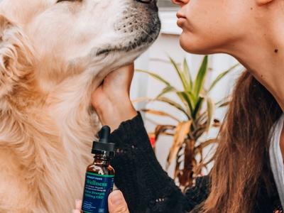 dog and woman
