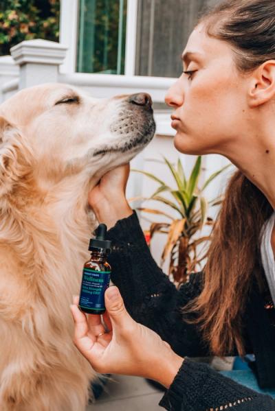 dog and woman