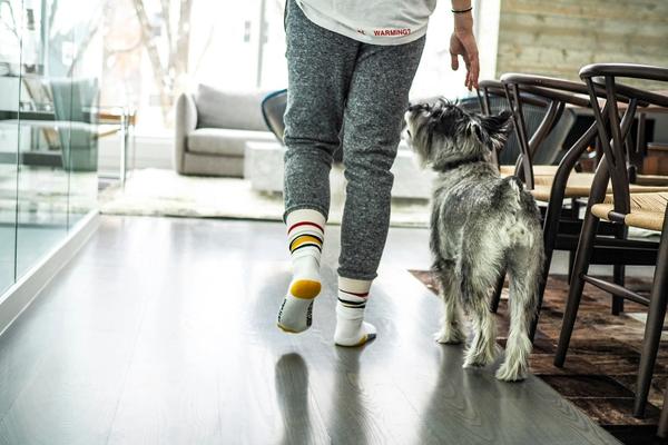 Owning a Dog Now Costs Up to $5,295 a Year. That's 130% More Than in 2020