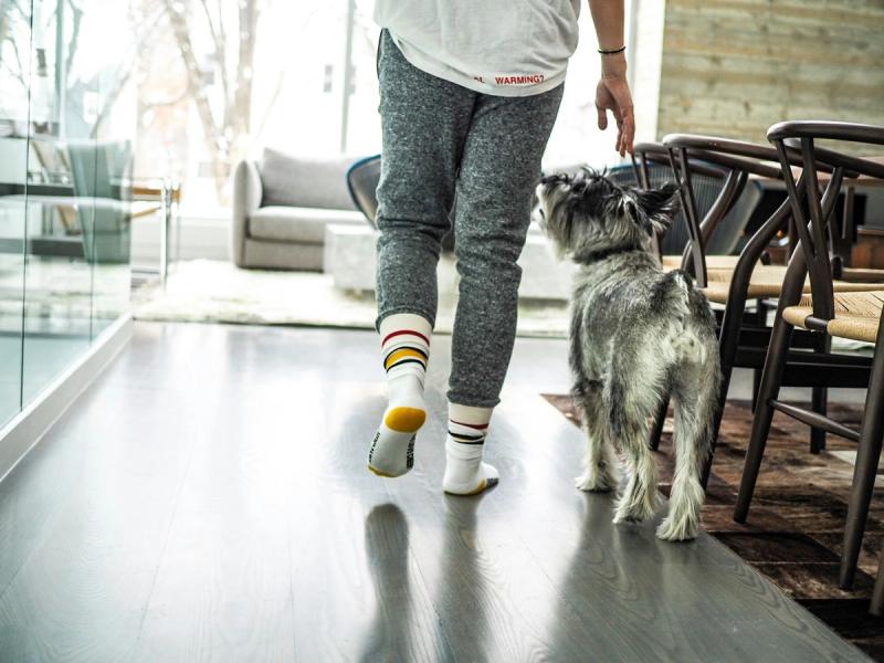 Owning a Dog Now Costs Up to $5,295 a Year. That's 130% More Than in 2020
