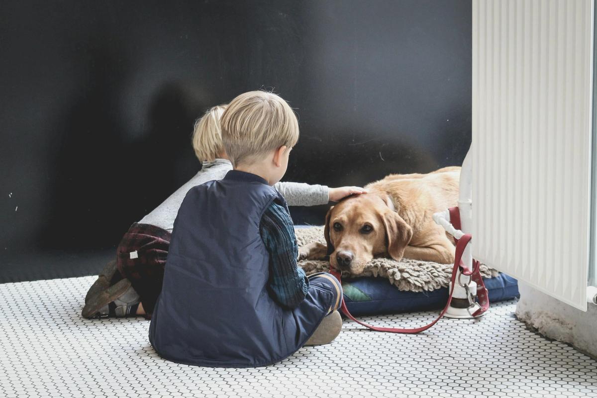 kids patting the dog
