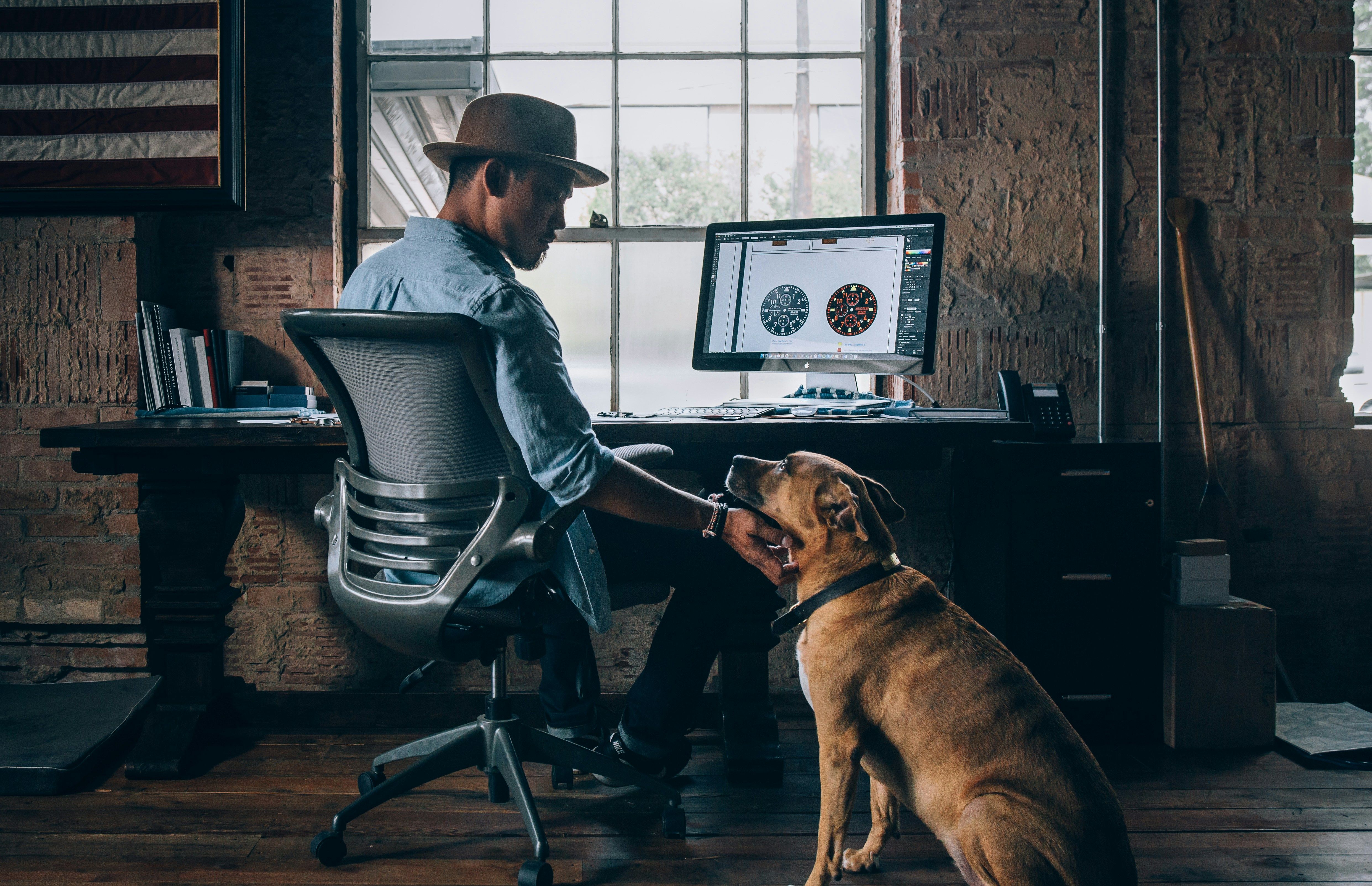 dog-friendly workplace