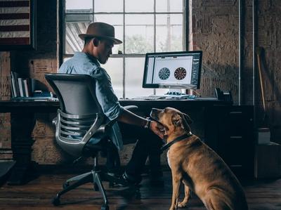 dog-friendly workplace