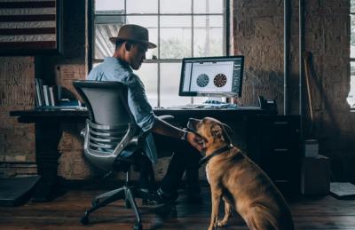 dog-friendly workplace