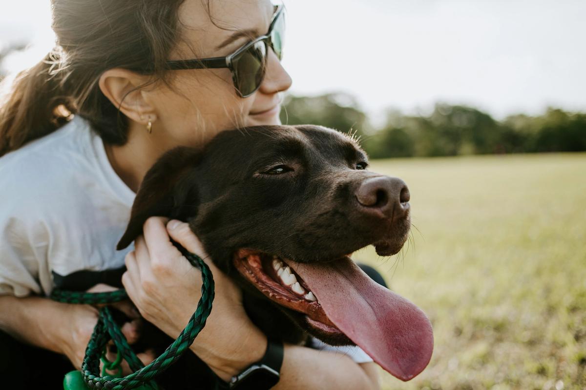 201 Sick Dogs. One Dog Daycare. The Disease Most L.A. Vets Weren't Vaccinating Against.