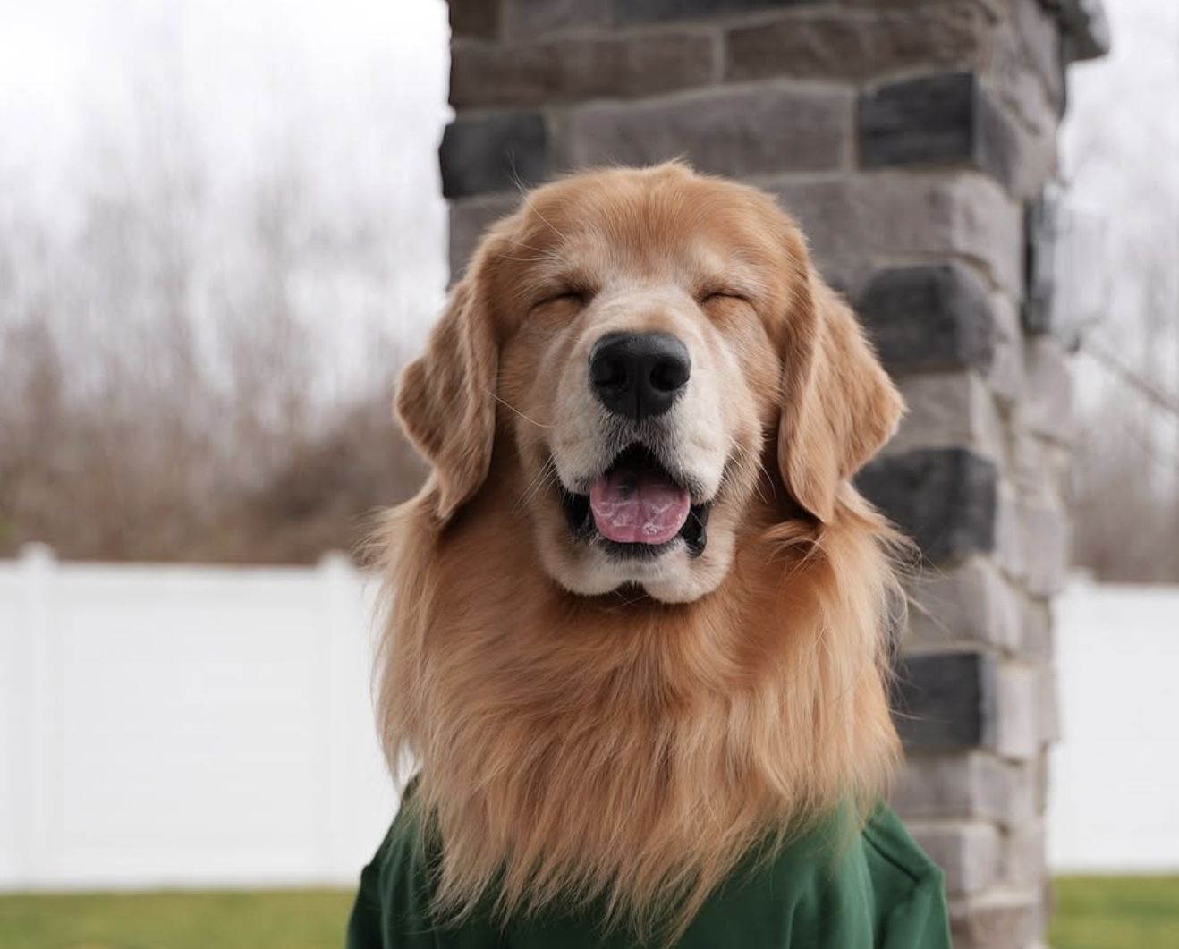 Top Dog Influencers Earn Millions. Tucker Budzyn Makes $40-60K Per YouTube Post