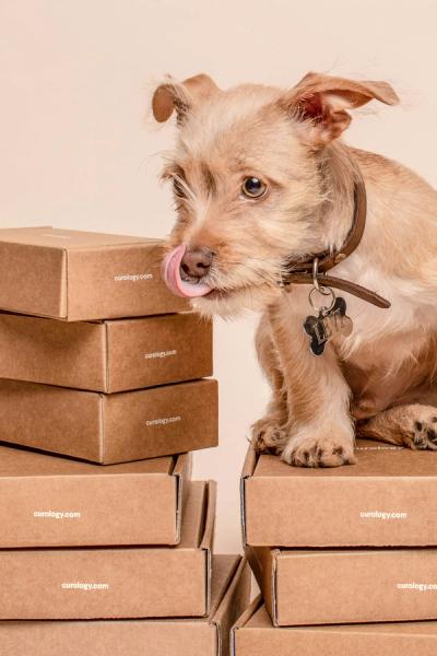 BarkBox