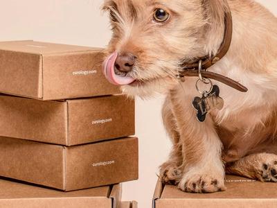 BarkBox