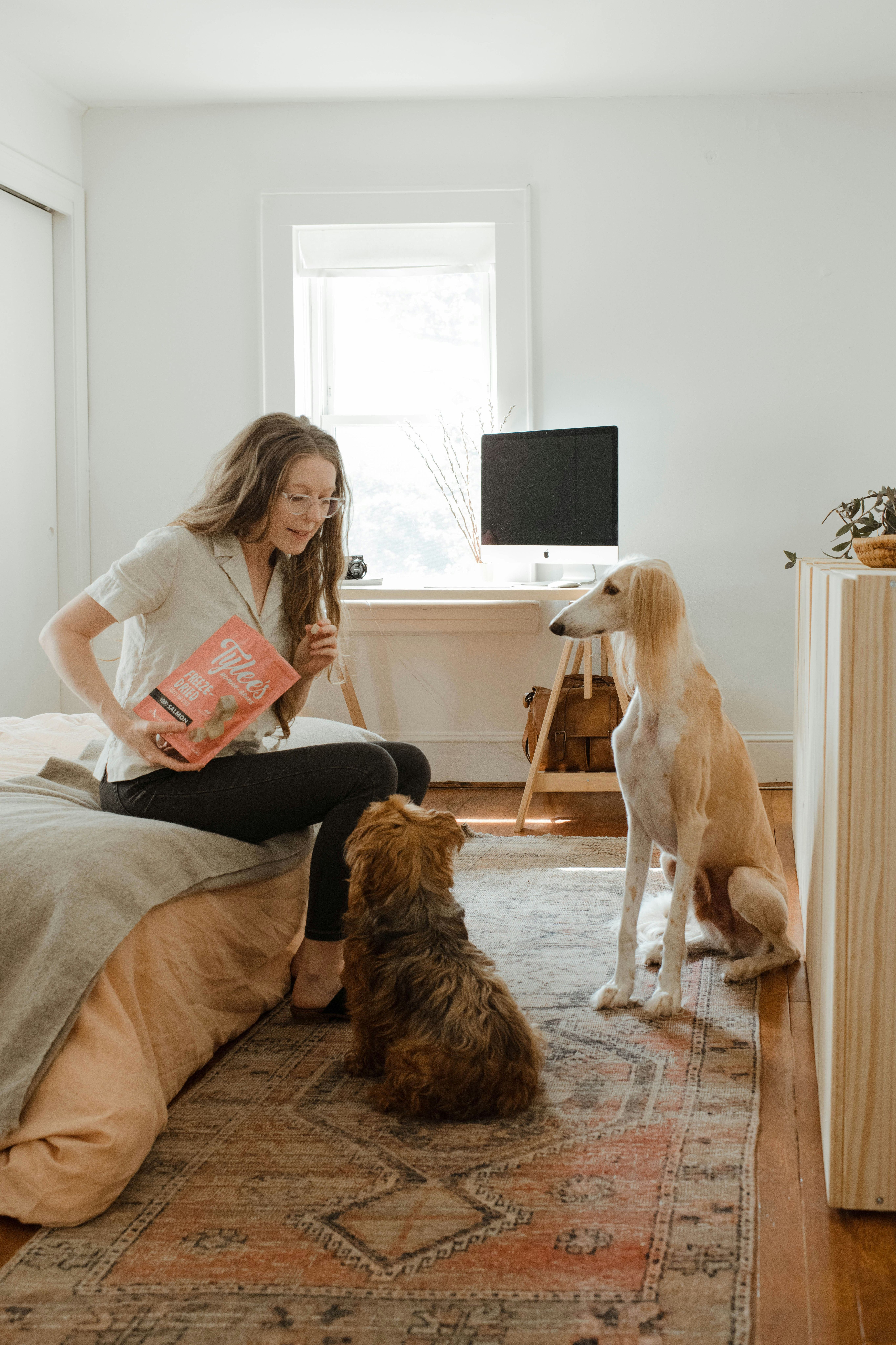 two dogs and woman in the room