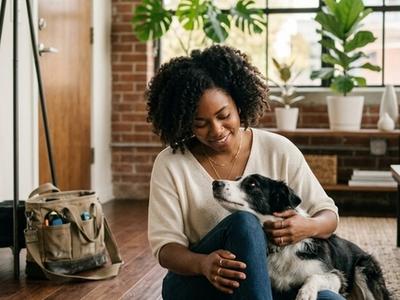 Pet with the owner