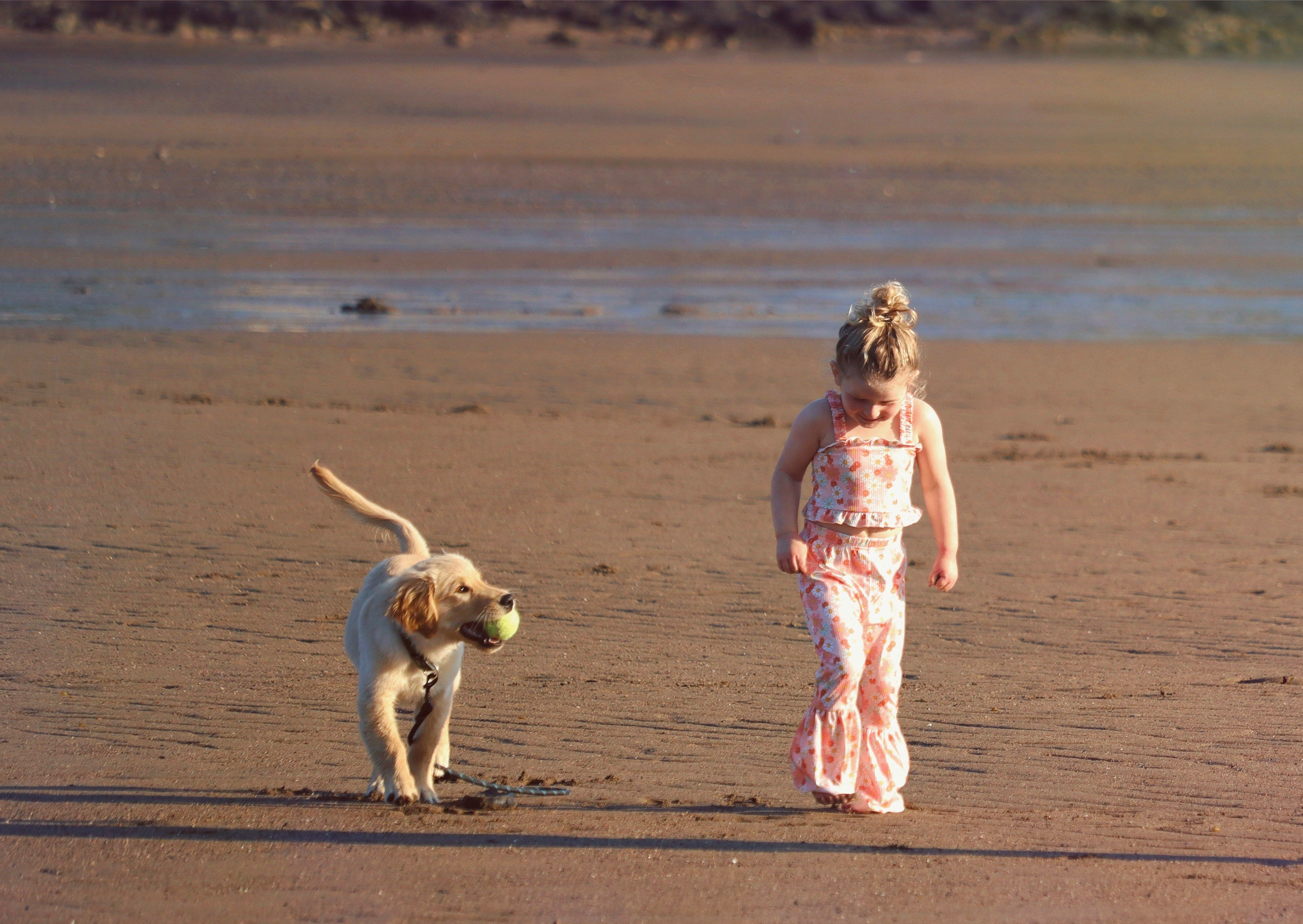 7 Out of 10 Gen Z Adults Would Rather Have Pets Than Kids. The Housing Market Is Making Sure of It