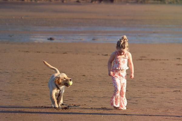 7 Out of 10 Gen Z Adults Would Rather Have Pets Than Kids. The Housing Market Is Making Sure of It