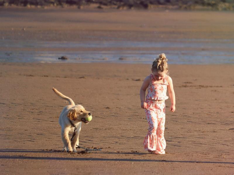 7 Out of 10 Gen Z Adults Would Rather Have Pets Than Kids. The Housing Market Is Making Sure of It