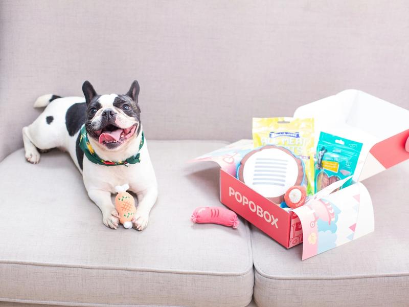 Dog Subscription Boxes Hit $903 Million. BarkBox Serves 2 Million Dogs