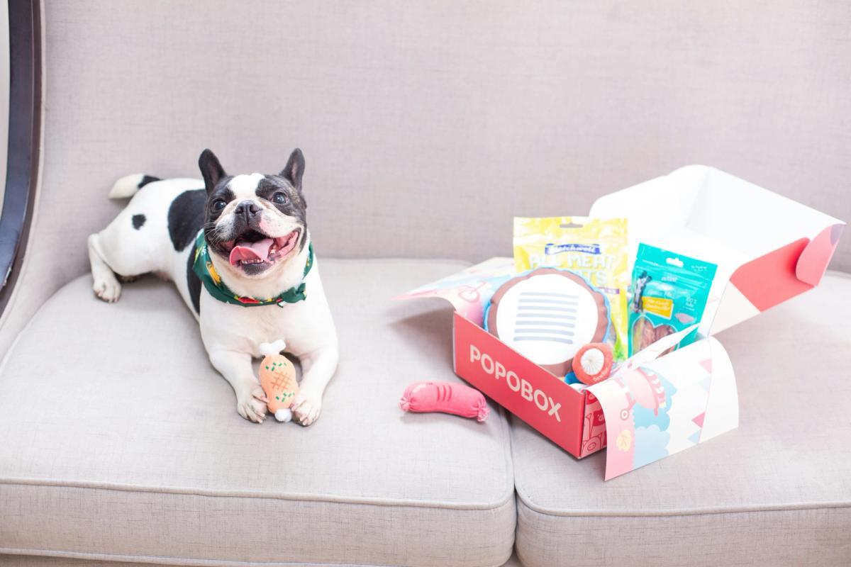 Dog Subscription Boxes Hit $903 Million. BarkBox Serves 2 Million Dogs