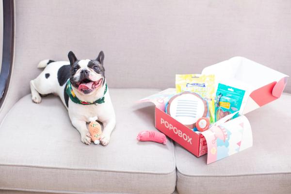 Dog Subscription Boxes Hit $903 Million. BarkBox Serves 2 Million Dogs