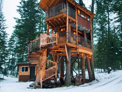 dog near tree house